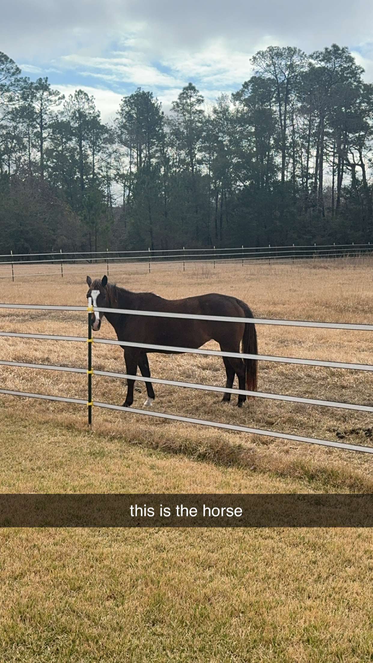 mckinley_1 snapchat image archive image