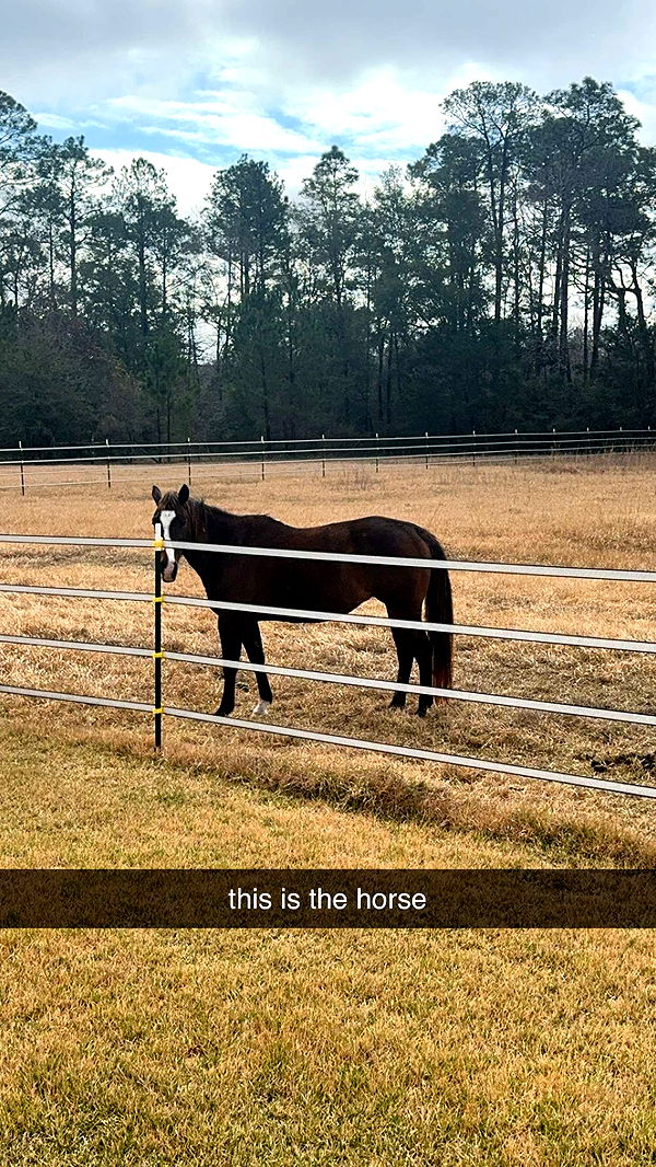 mckinley_1 image ~ Altpins