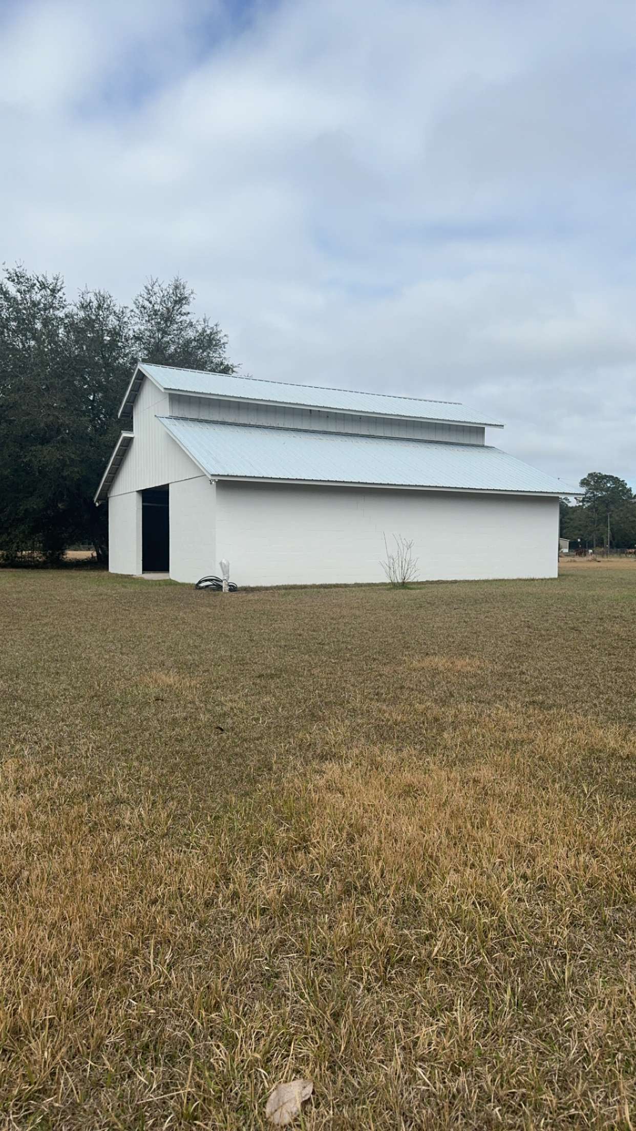 mckinley_1 snapchat image archive image