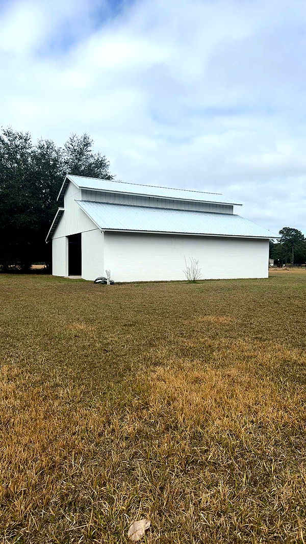 mckinley_1 image ~ Altpins