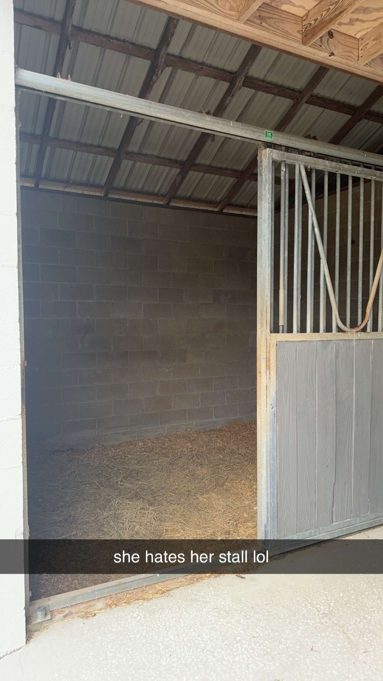 mckinley_1 snapchat image archive image