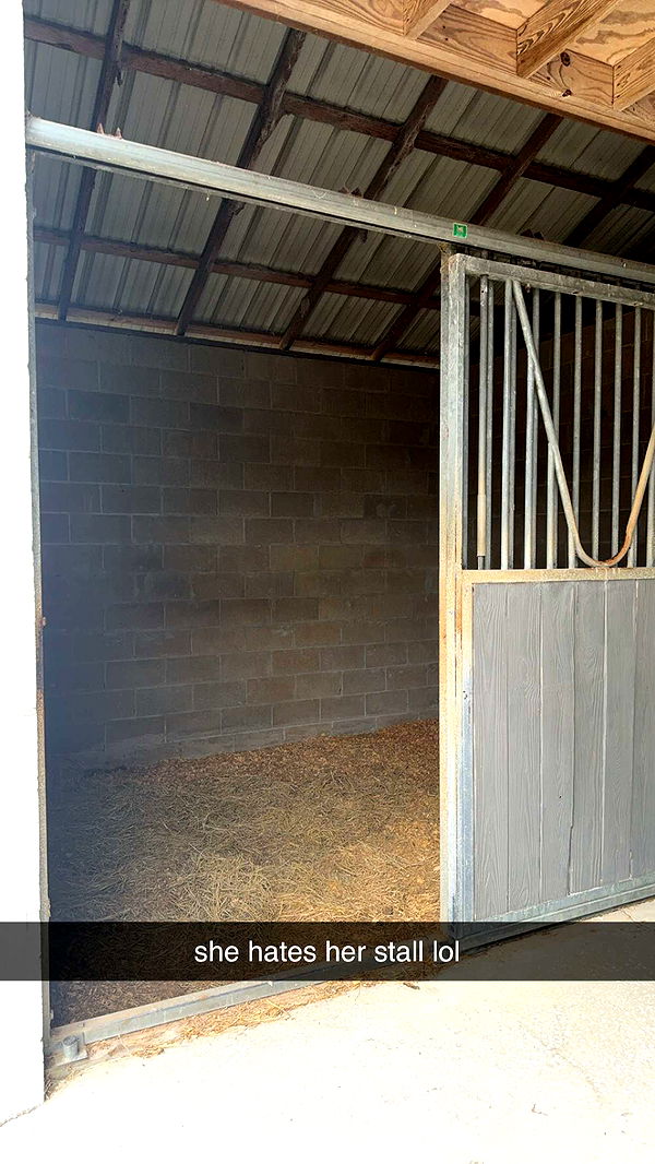 mckinley_1 image ~ Altpins