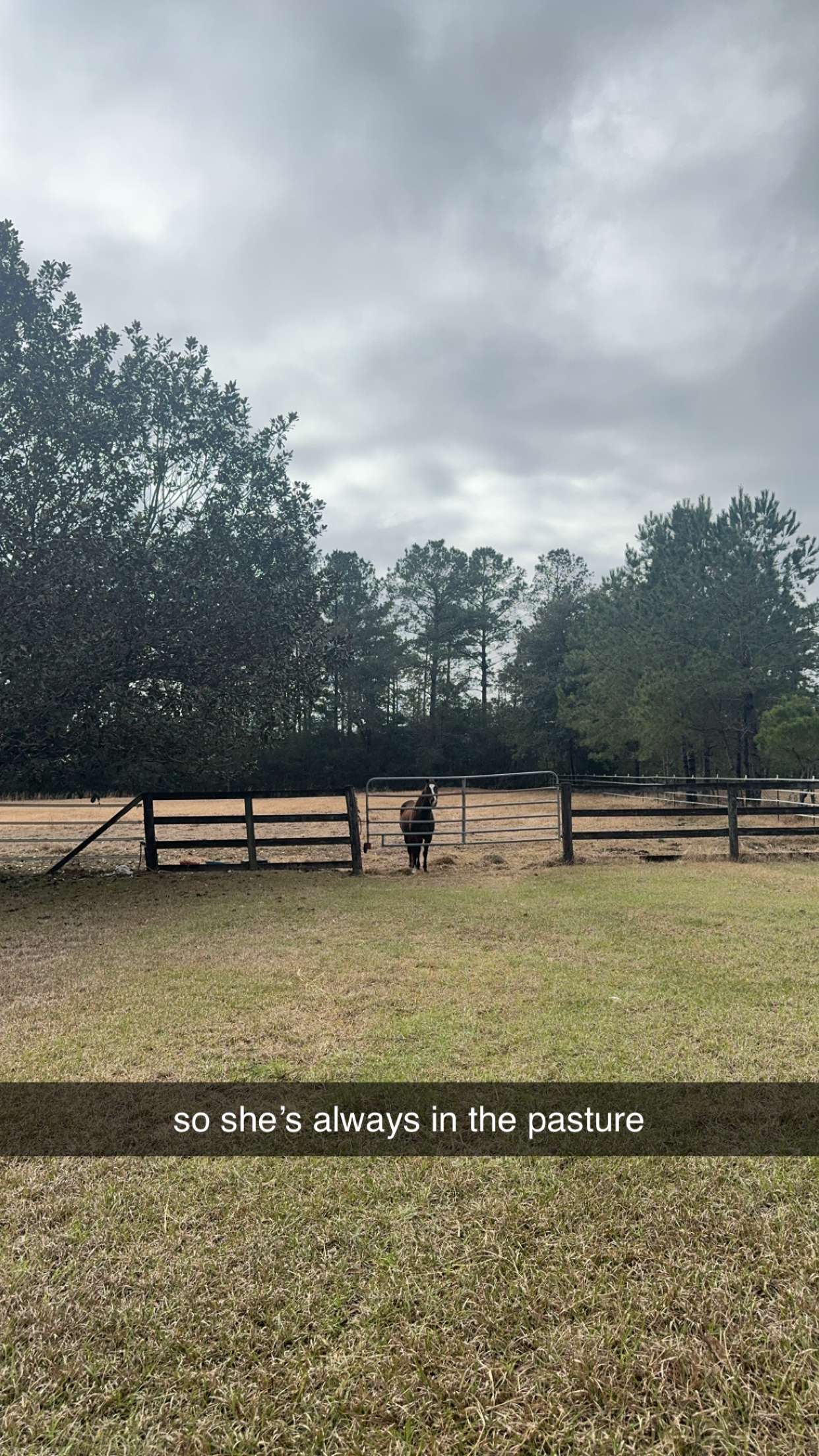 mckinley_1 snapchat image archive image