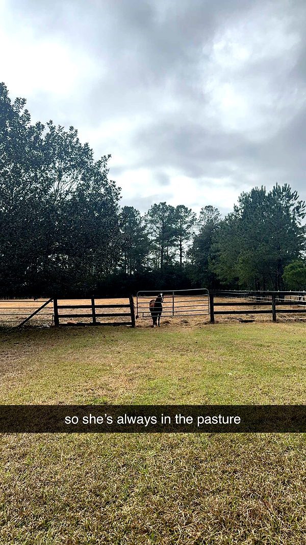 mckinley_1 image ~ Altpins