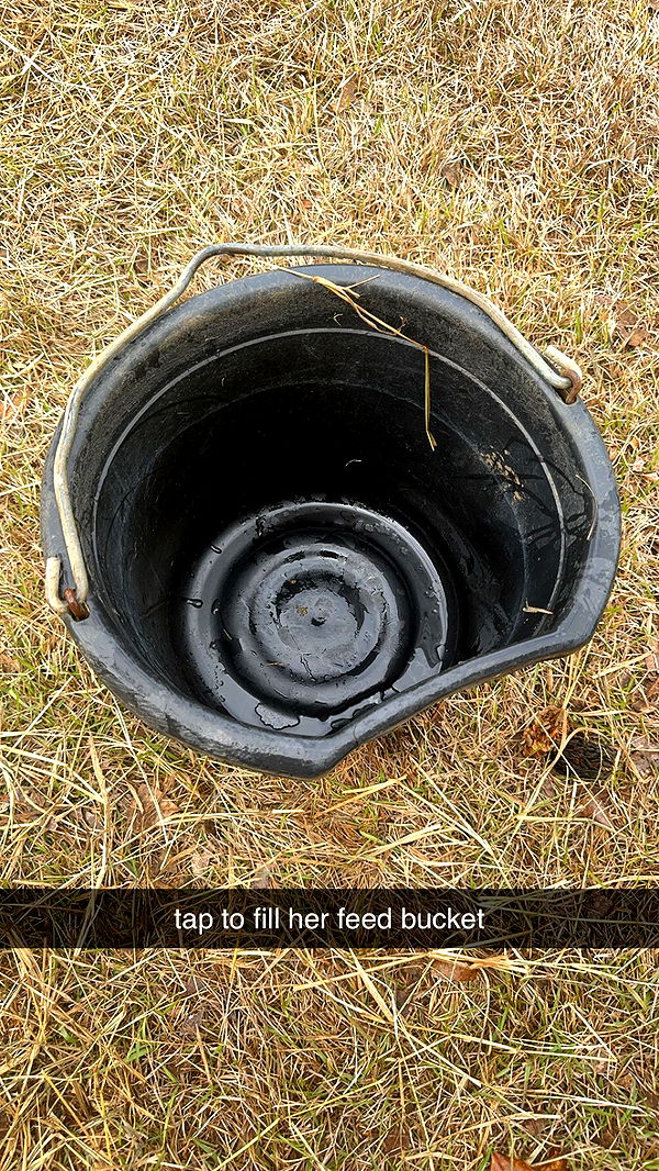 mckinley_1 image ~ Altpins