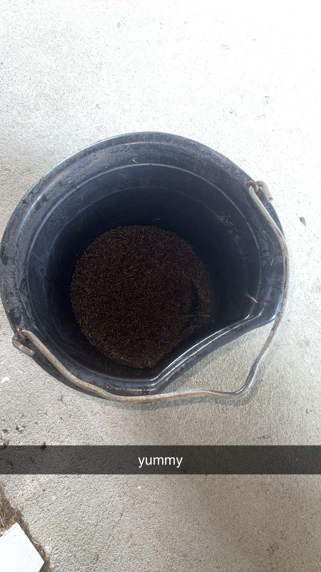 mckinley_1 snapchat image archive image