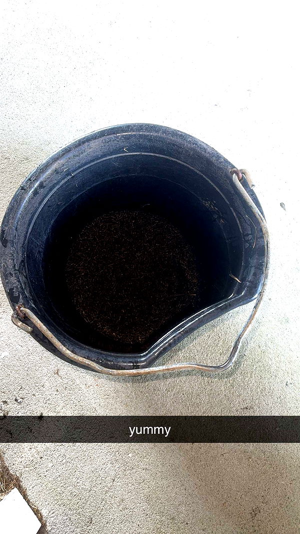 mckinley_1 image ~ Altpins