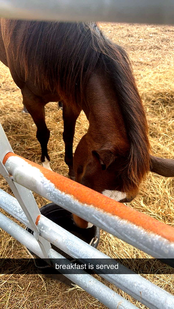 mckinley_1 image ~ Altpins