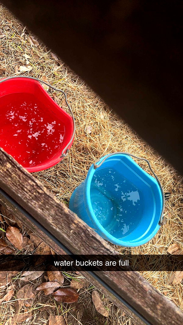 mckinley_1 image ~ Altpins