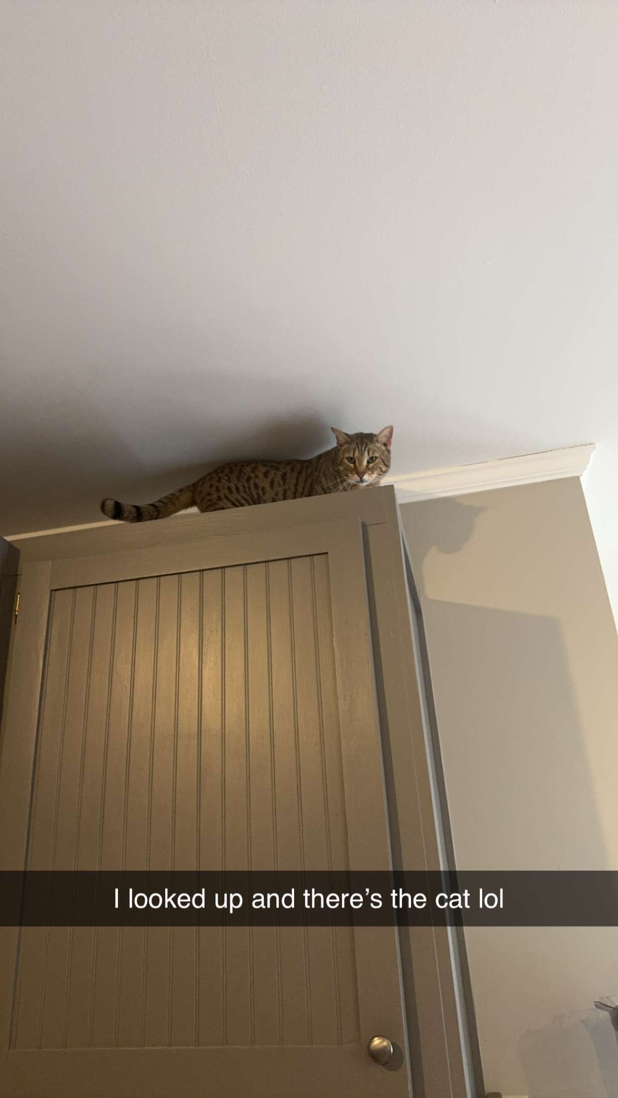 mckinley_1 snapchat image archive image