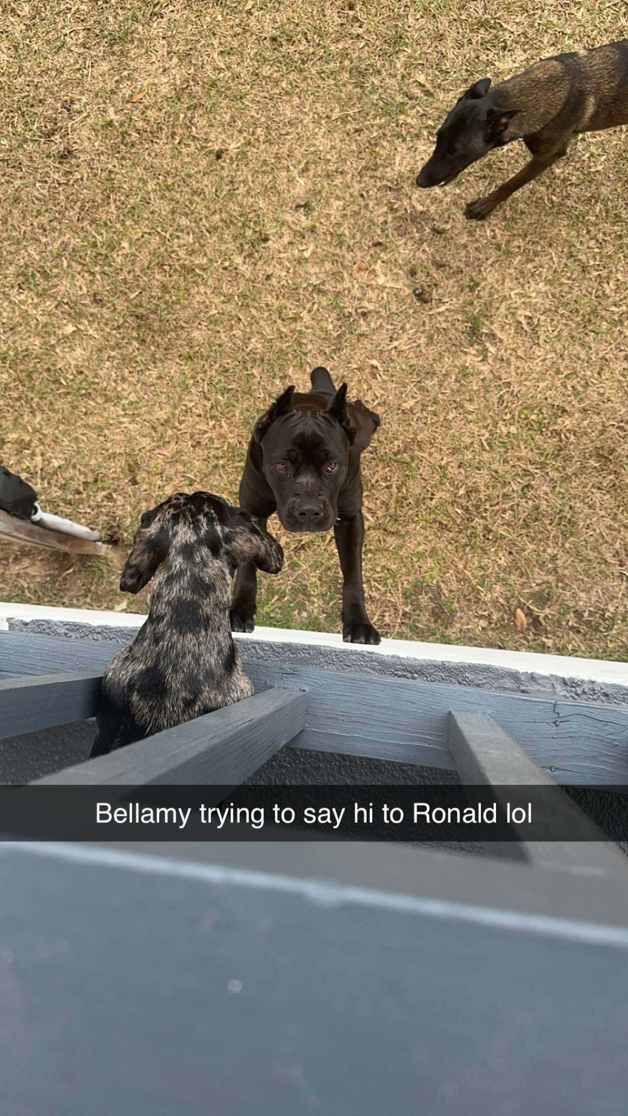 mckinley_1 snapchat image archive image