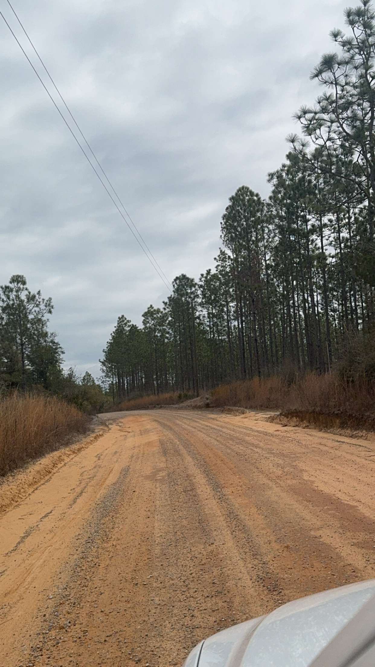 mckinley_1 snapchat image archive image