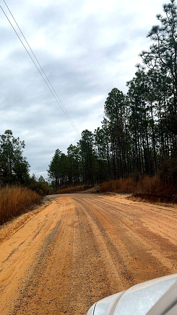 mckinley_1 image ~ Altpins