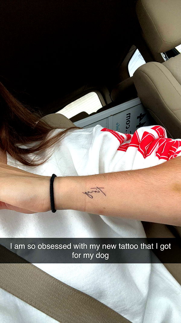 mckinley_1 image ~ Altpins