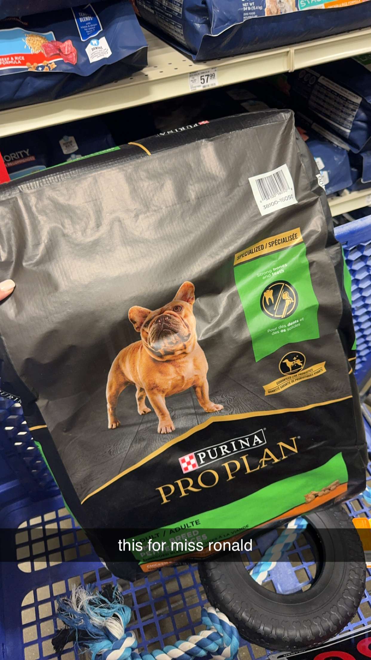 mckinley_1 snapchat image archive image