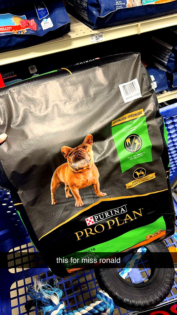 mckinley_1 image ~ Altpins