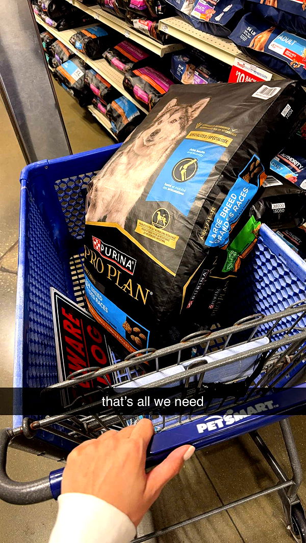 mckinley_1 image ~ Altpins