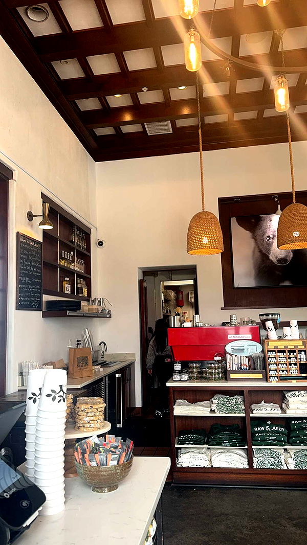 mckinley_1 image ~ Altpins