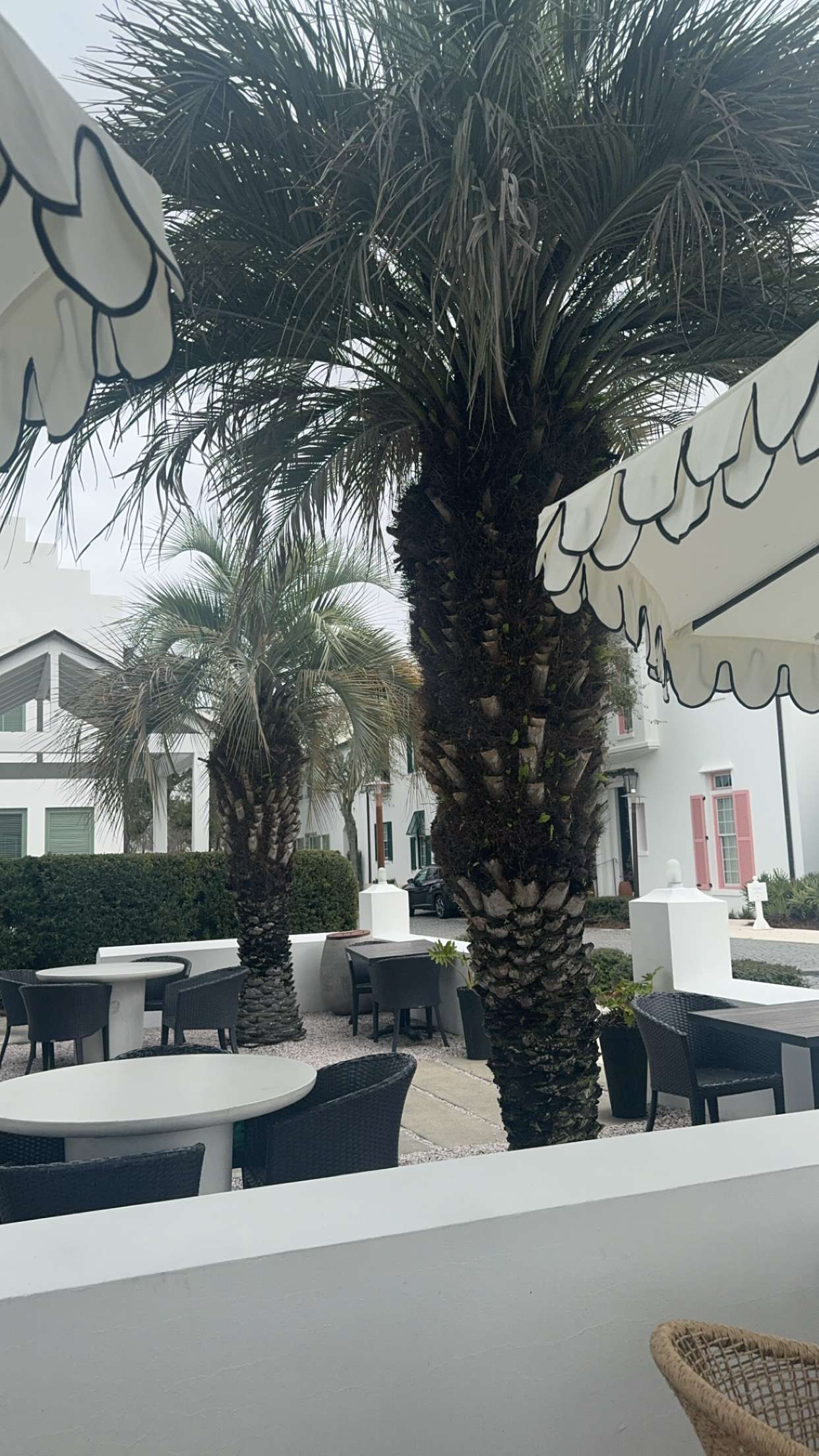 mckinley_1 snapchat image archive image