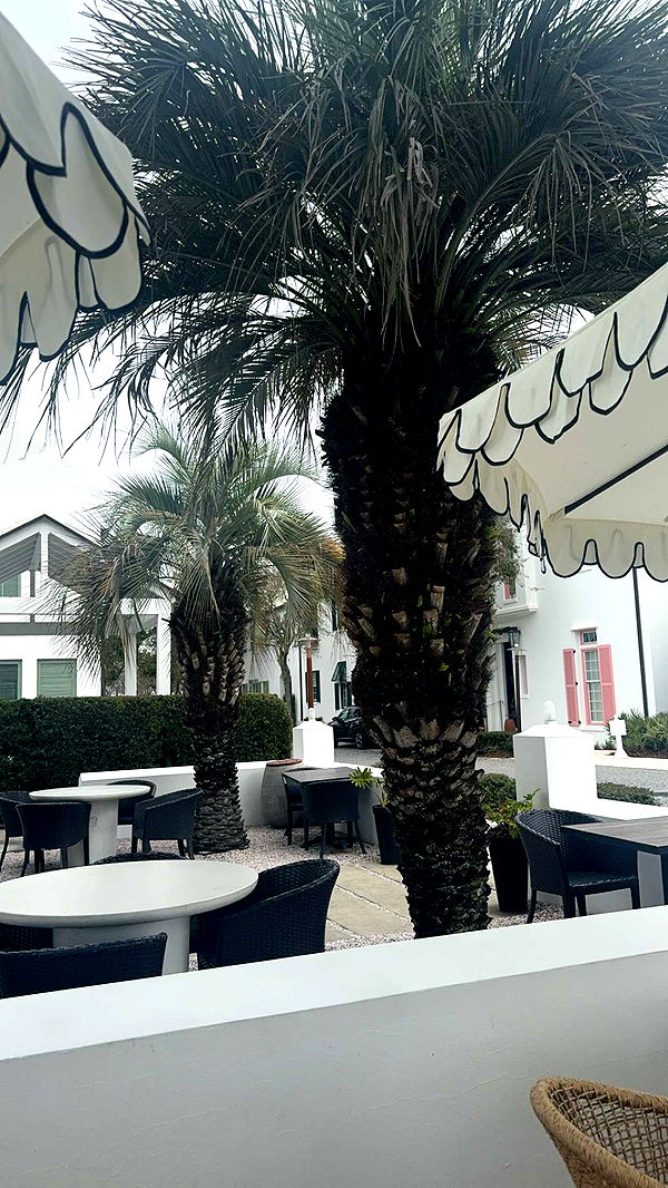 mckinley_1 image ~ Altpins