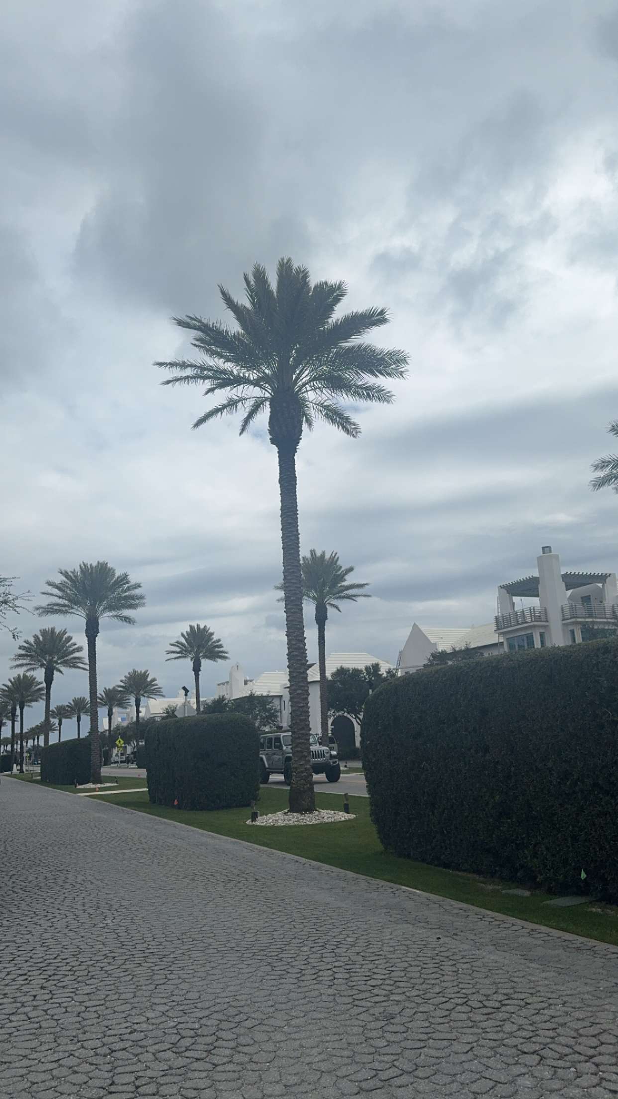 mckinley_1 snapchat image archive image