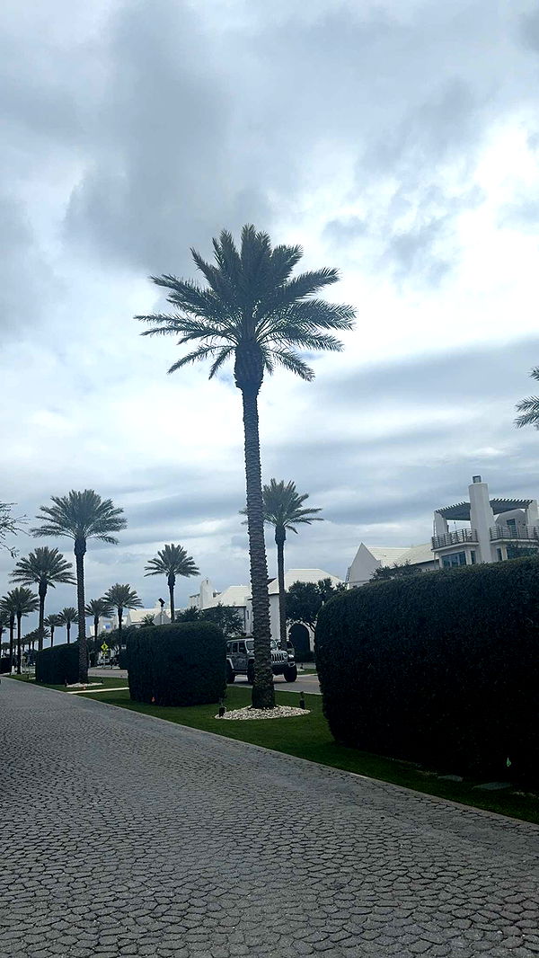 mckinley_1 image ~ Altpins