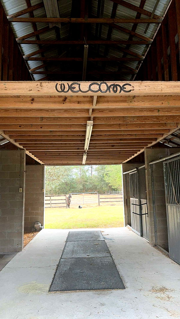 mckinley_1 image ~ Altpins