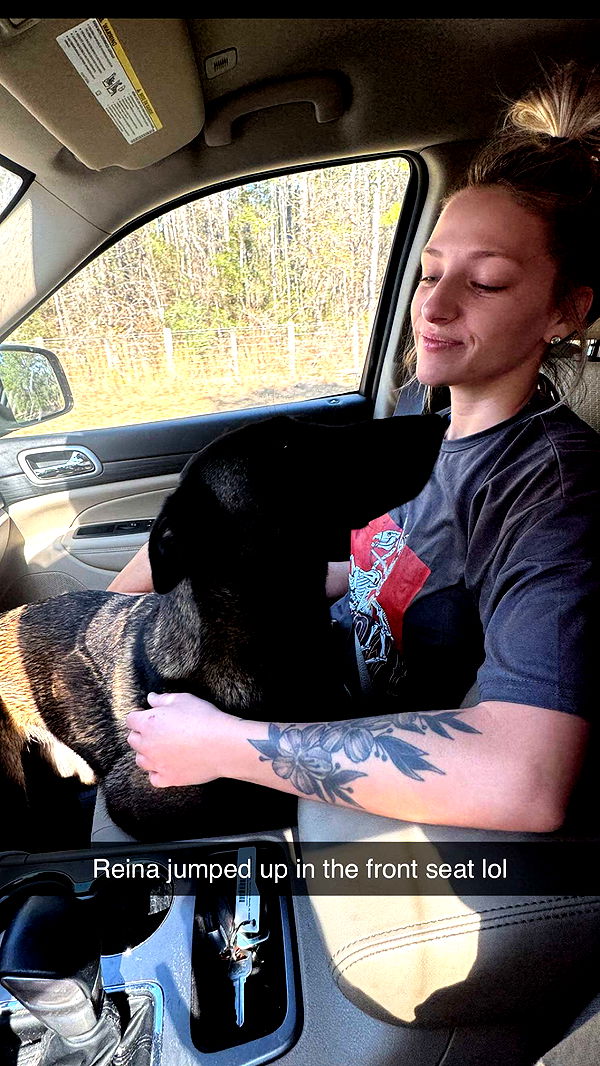 mckinley_1 image ~ Altpins