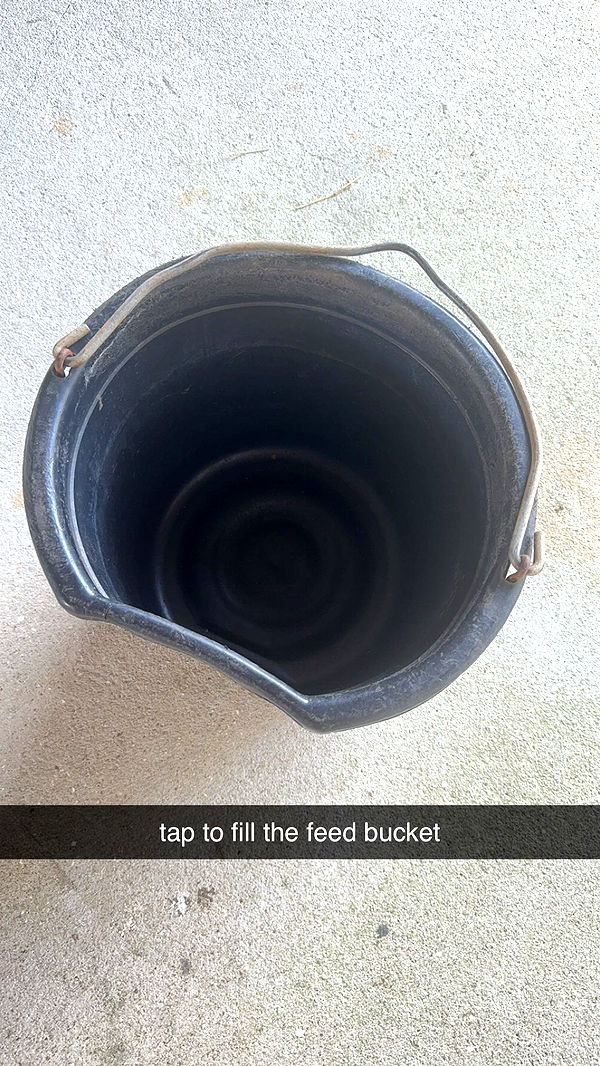 mckinley_1 image ~ Altpins