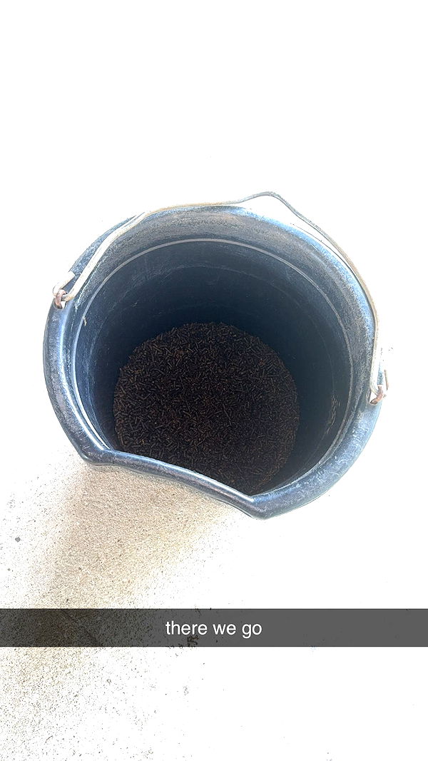 mckinley_1 image ~ Altpins