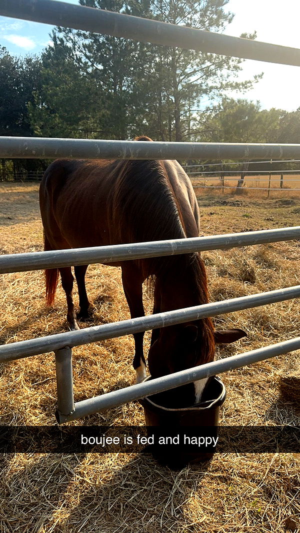 mckinley_1 image ~ Altpins