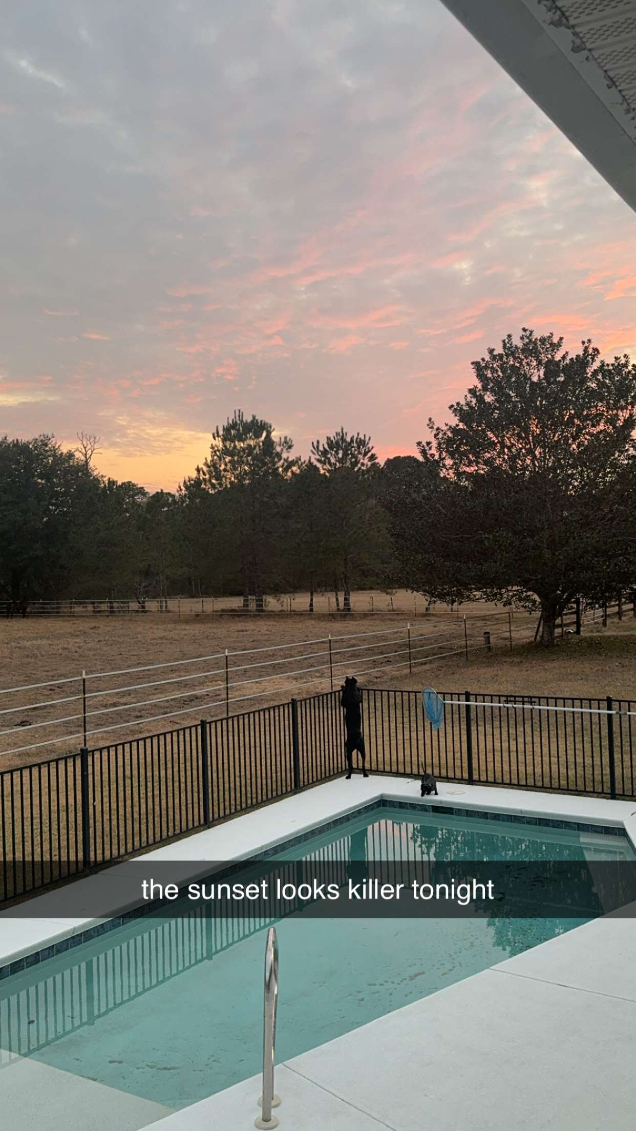 mckinley_1 snapchat image archive image