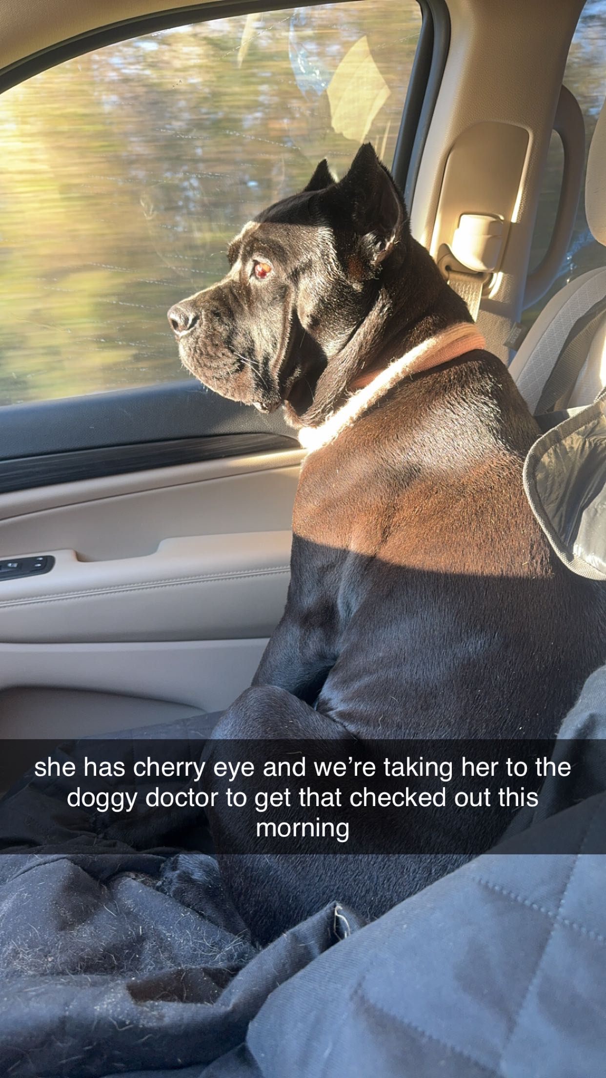 mckinley_1 snapchat image archive image