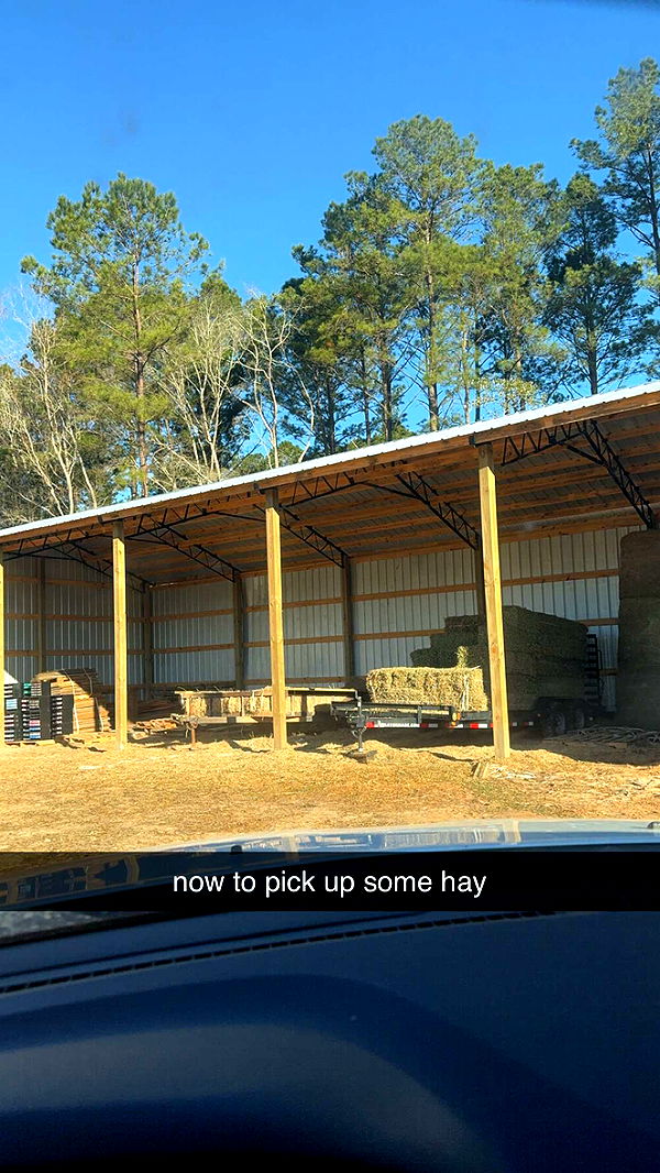 mckinley_1 image ~ Altpins