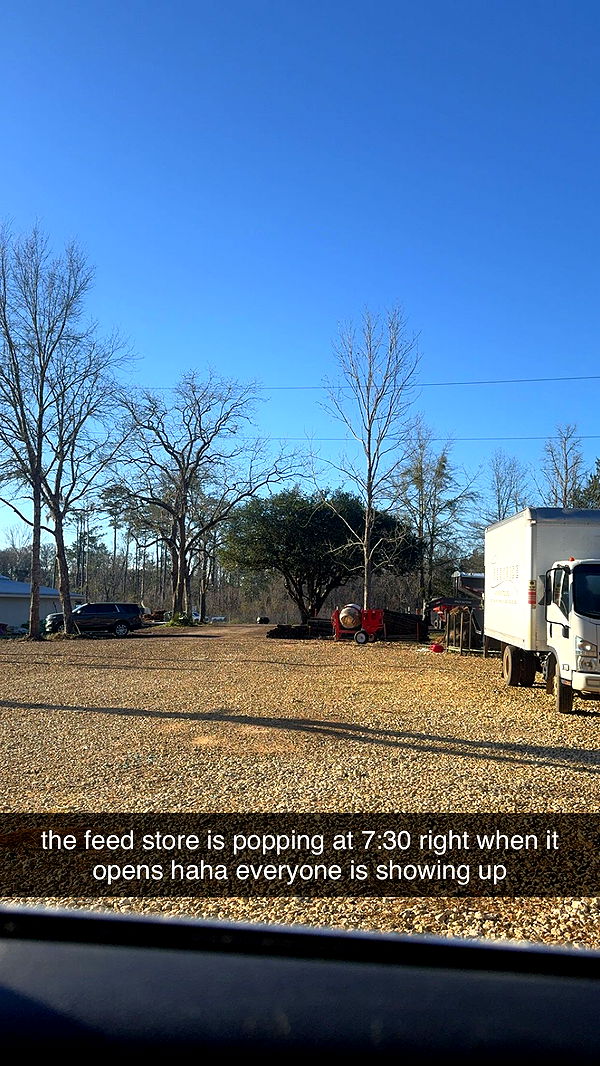 mckinley_1 image ~ Altpins