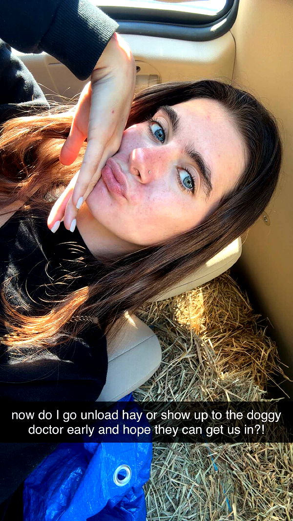 mckinley_1 image ~ Altpins