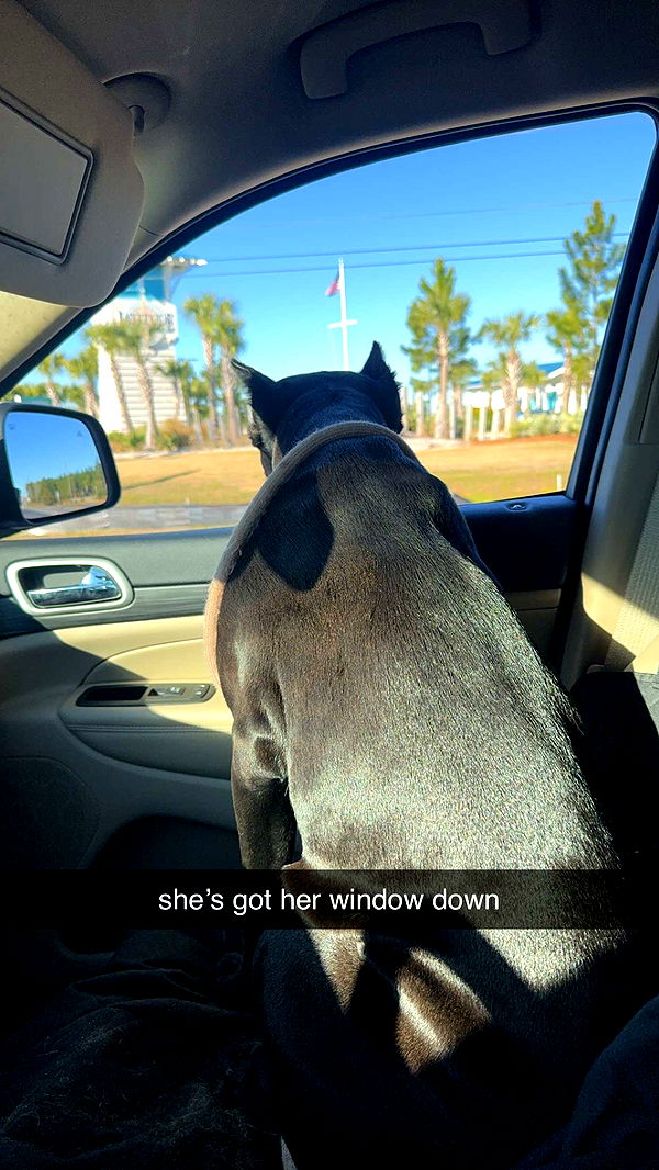 mckinley_1 image ~ Altpins