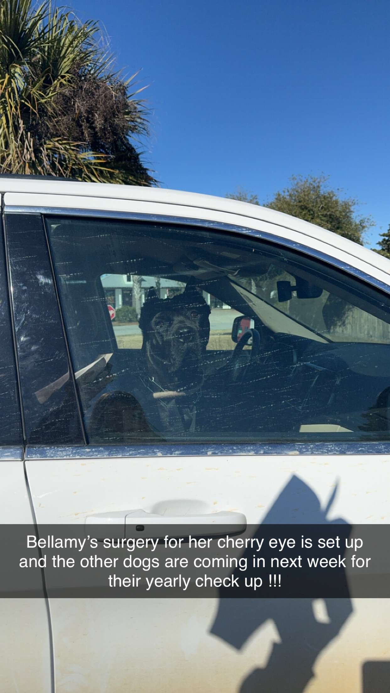 mckinley_1 snapchat image archive image