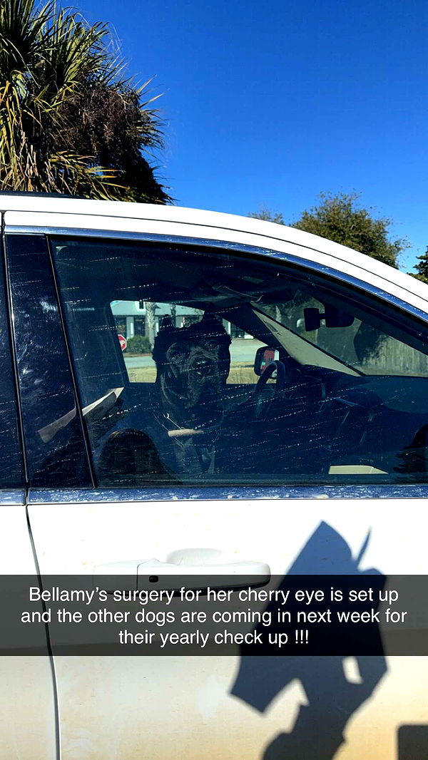 mckinley_1 image ~ Altpins