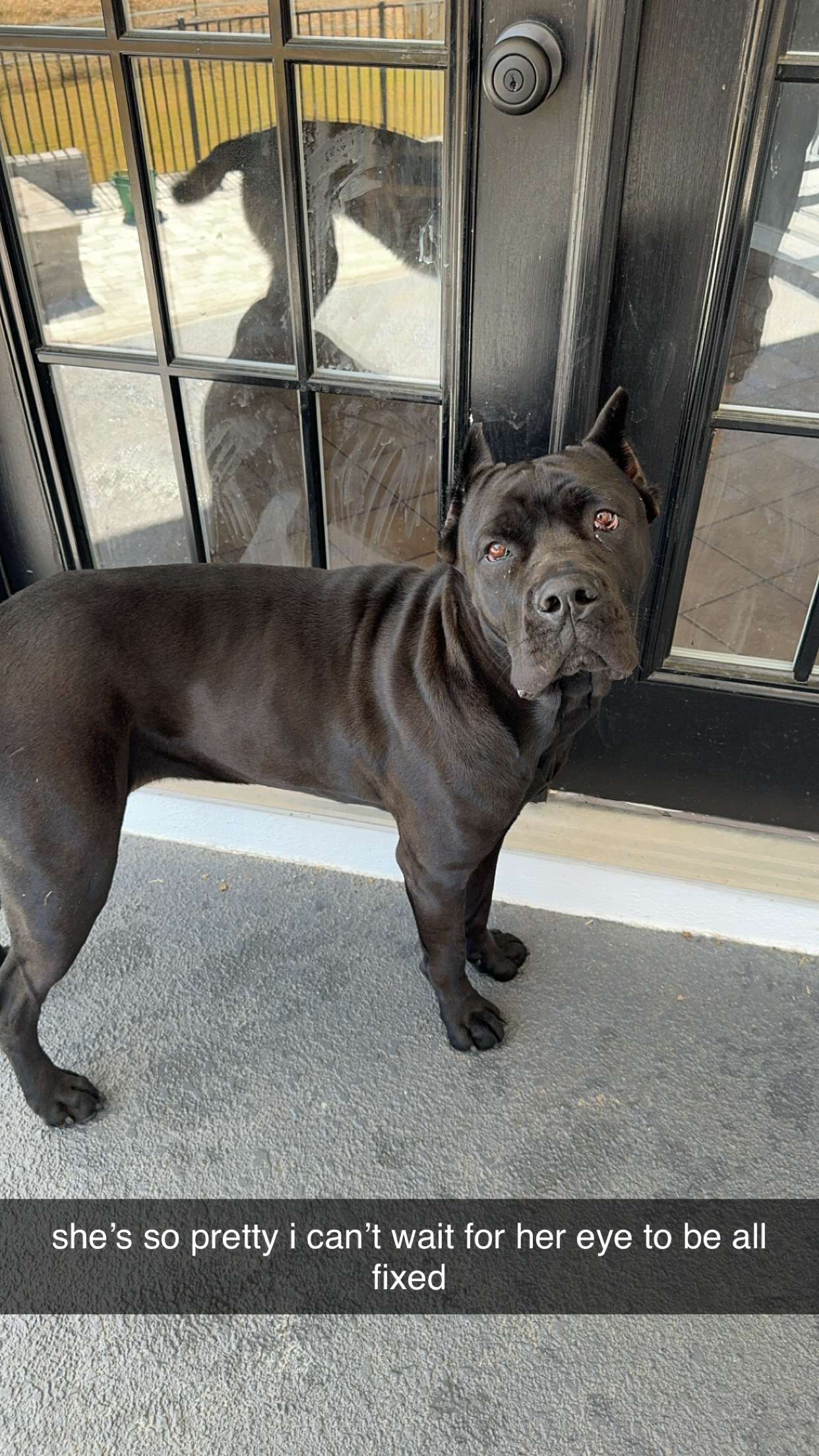 mckinley_1 snapchat image archive image