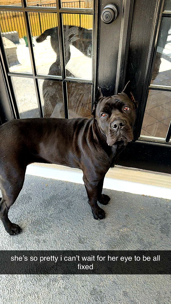 mckinley_1 image ~ Altpins