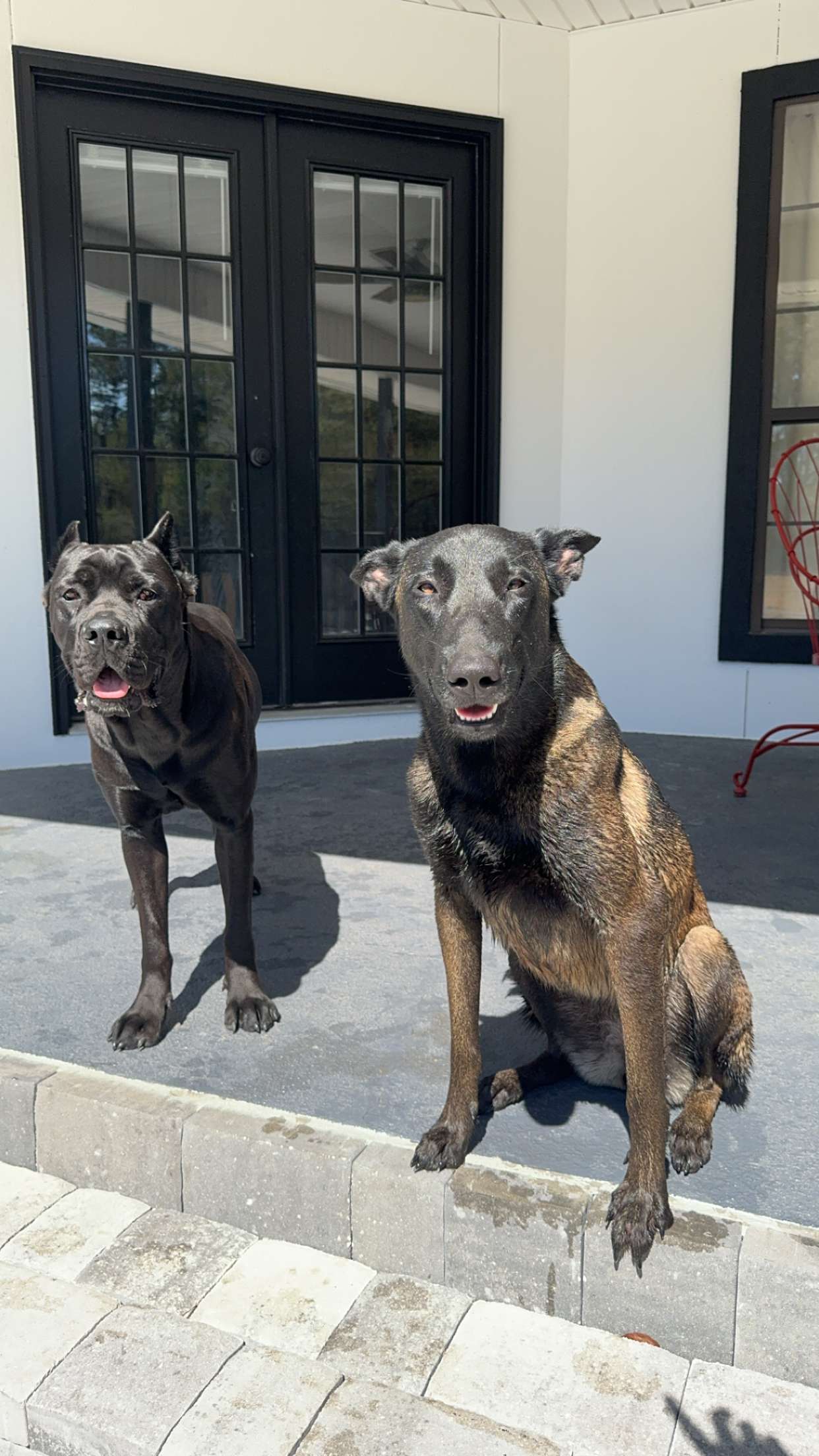 mckinley_1 snapchat image archive image