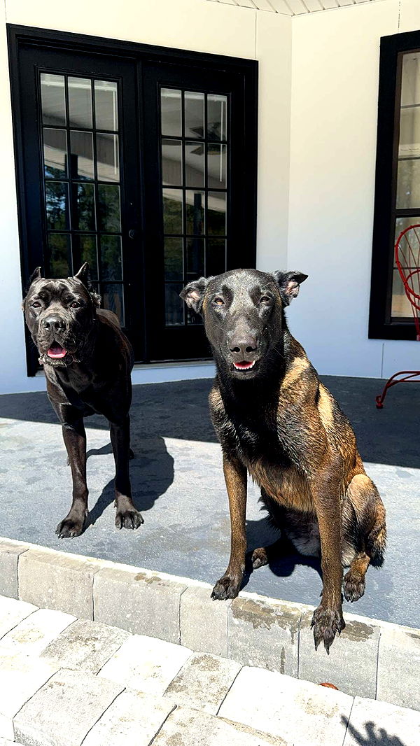 mckinley_1 image ~ Altpins