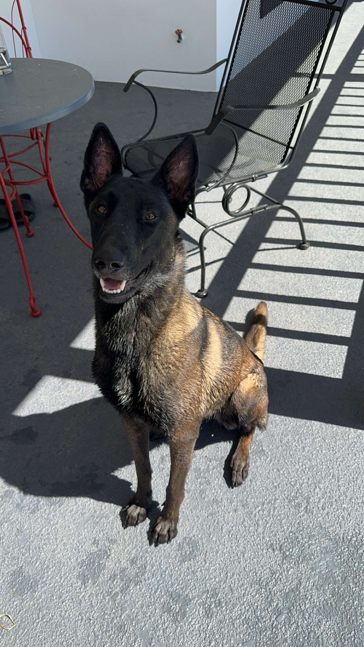 mckinley_1 snapchat image archive image