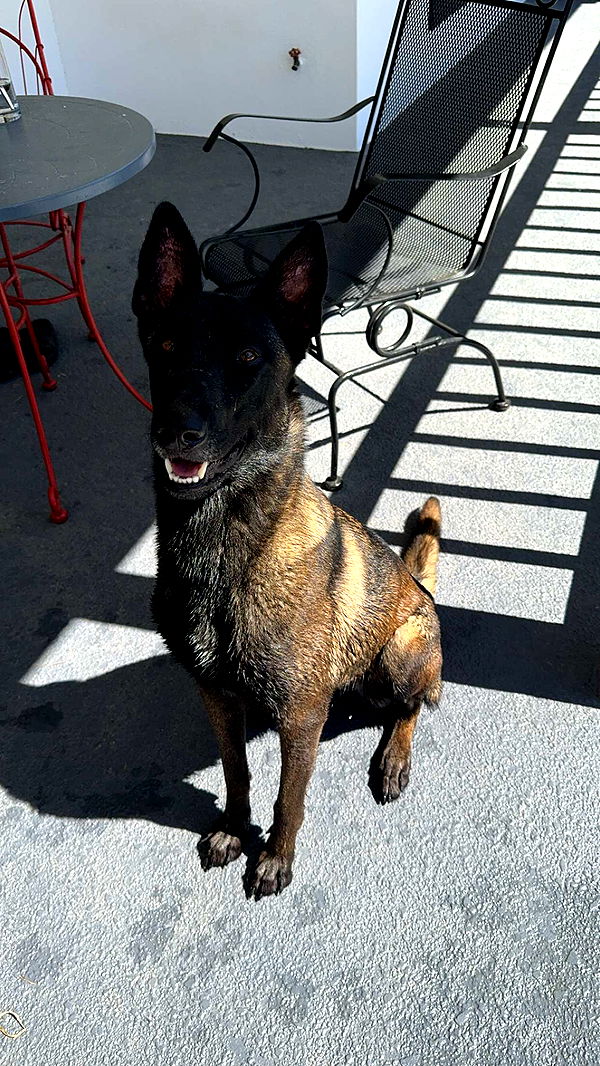 mckinley_1 image ~ Altpins