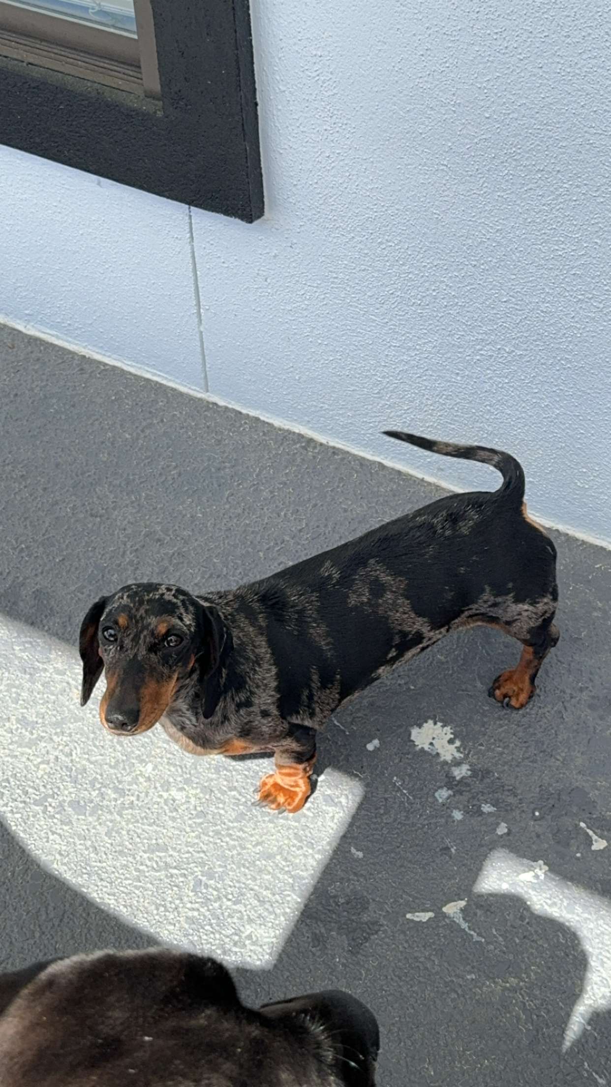 mckinley_1 snapchat image archive image