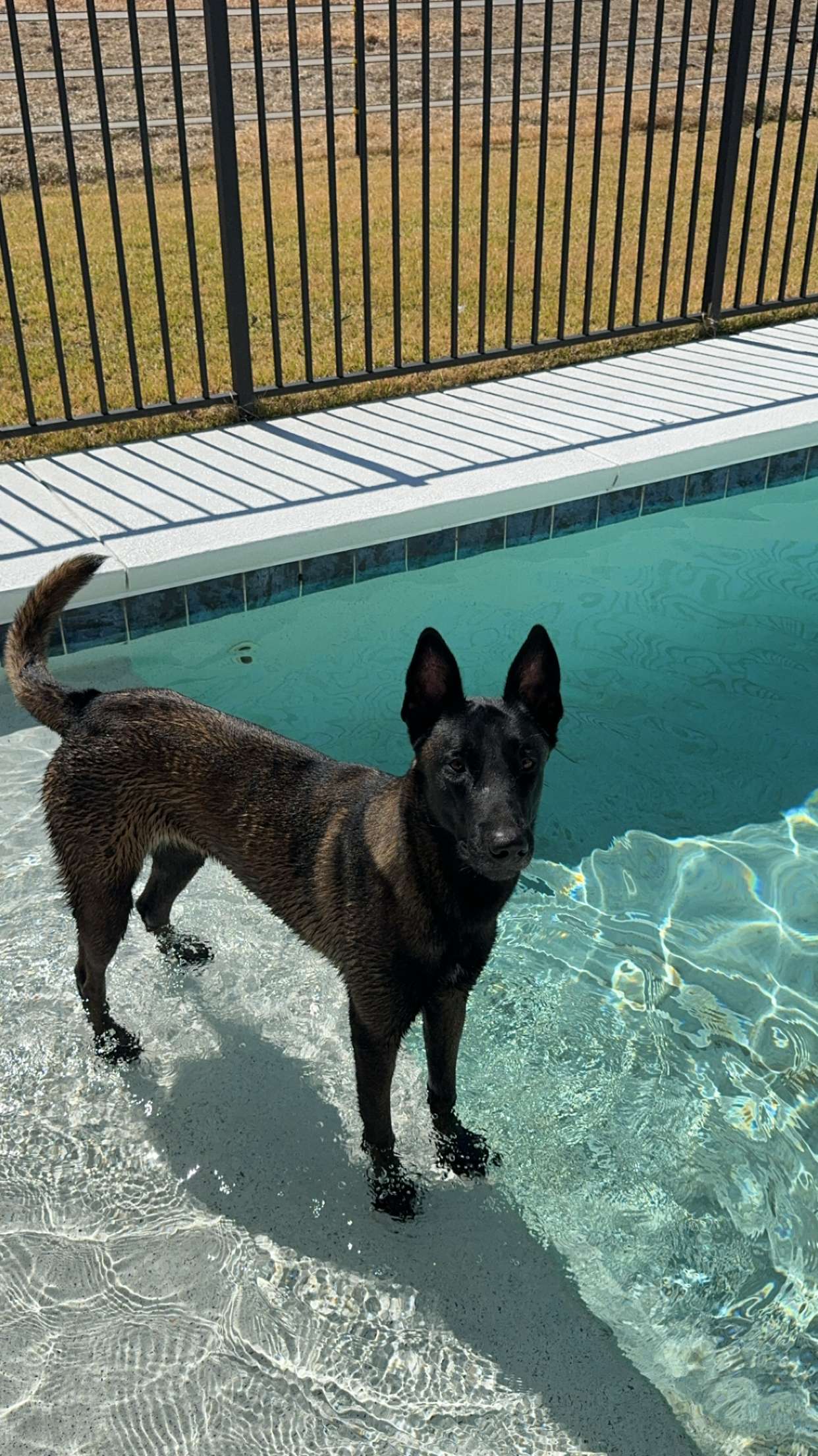 mckinley_1 snapchat image archive image