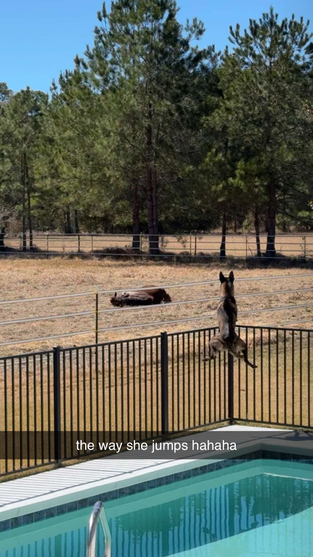 mckinley_1 snapchat image archive image