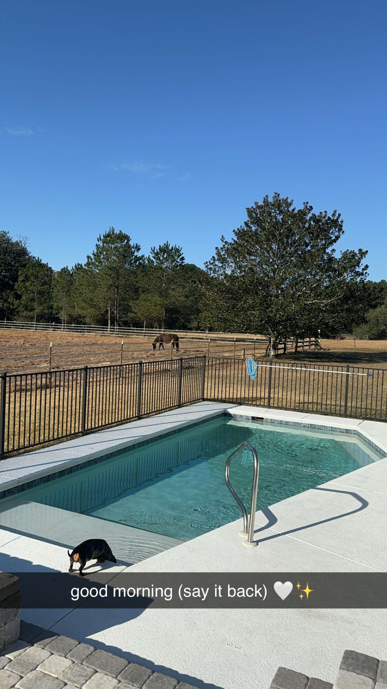 mckinley_1 snapchat image archive image