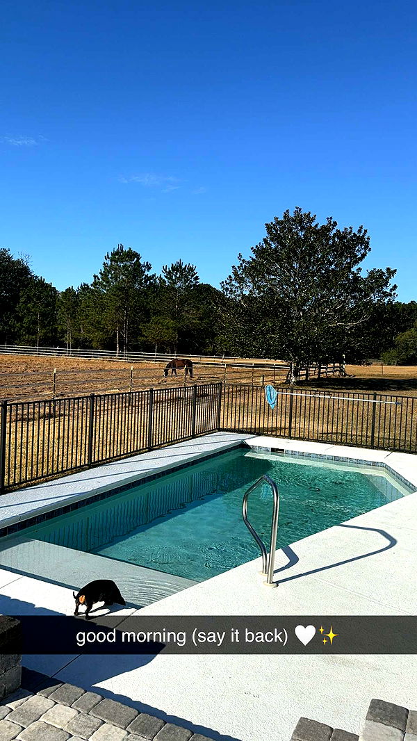 mckinley_1 image ~ Altpins